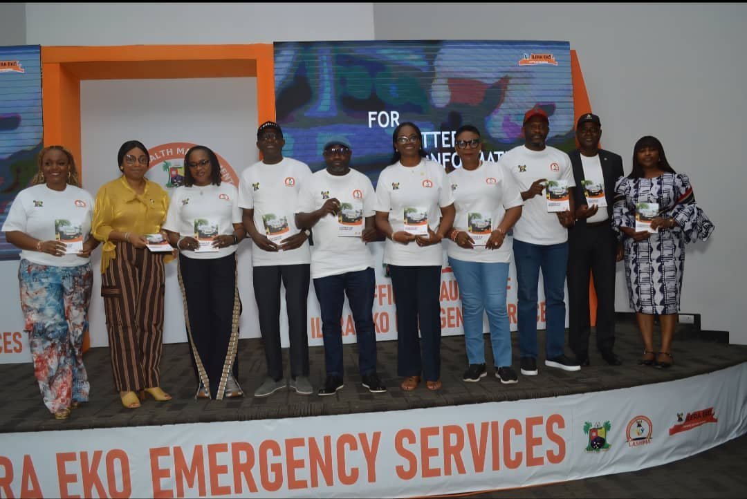 Alt Text: A detailed flowchart showing the step-by-step process of website SEO optimization from audit to reporting. Image...