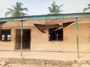 Alt Text: A detailed infographic showing the step-by-step process of photosynthesis in a plant leaf. Image Title: Visual b...