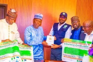 Alt Text: A detailed infographic showing the step-by-step process of photosynthesis in a plant leaf. Image Title: Visual b...