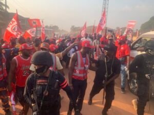 Alt Text: A detailed infographic showing the step-by-step process of photosynthesis in a plant leaf. Image Title: Visual b...