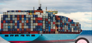 Alt Text: A detailed infographic showing the step-by-step process of photosynthesis in a plant leaf. Image Title: Visual b...